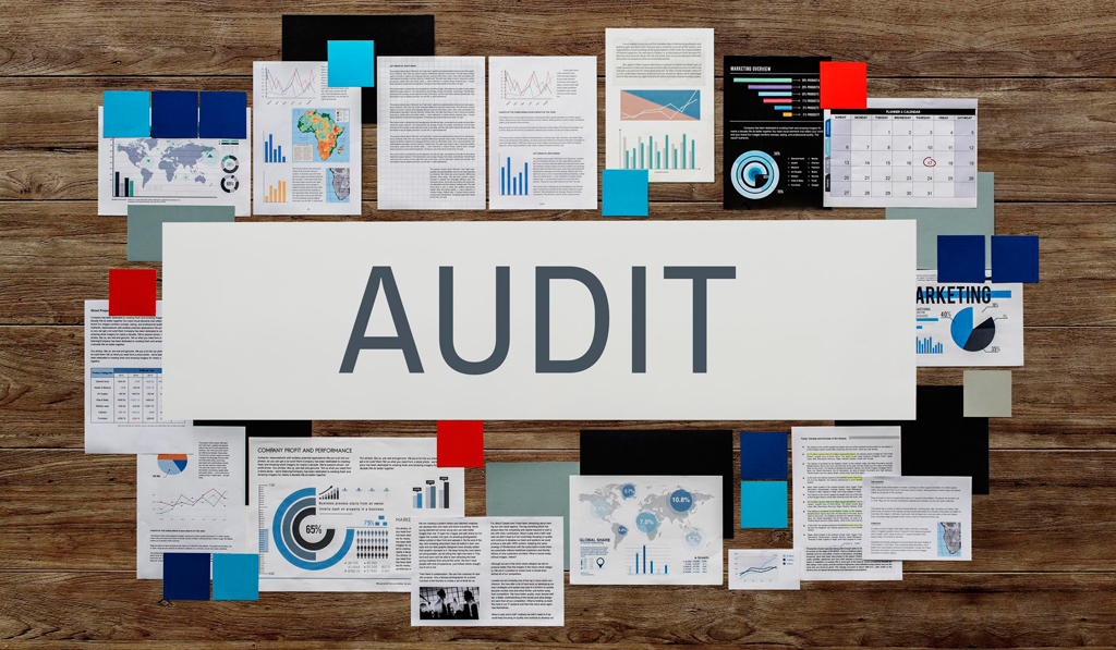audit-img